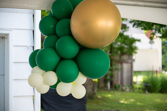 MMP_2490