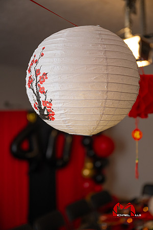 MMP_8137